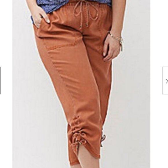 Lane Bryant Pants - Lane Bryant Salmon Color runched Side Cargo Pants Size 18/20